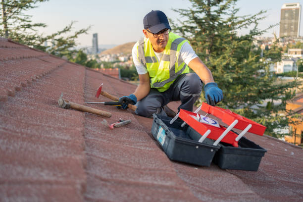 Best Storm Damage Siding Repair  in Buena Park, CA